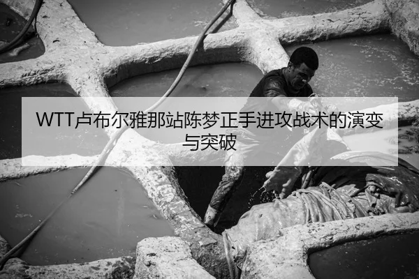 lu-bu-er-ya-na-zhan-chen-meng-zheng-shou-jin-gong-zhan-shu-de-yan-bian-yu-tu-po-2-526.jpg