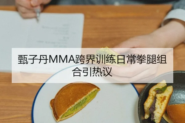 甄子丹MMA跨界训练日常拳腿组合引热议