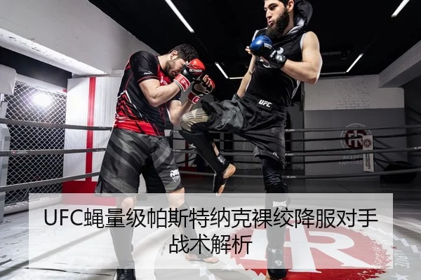UFC蝇量级帕斯特纳克裸绞降服对手战术解析