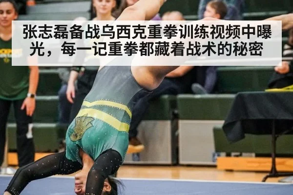 张志磊备战乌西克重拳训练视频中曝光，每一记重拳都藏着战术的秘密