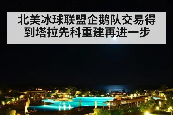 北美冰球联盟企鹅队交易得到塔拉先科重建再进一步
